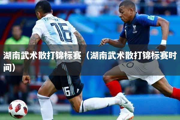 湖南武术散打锦标赛（湖南武术散打锦标赛时间）