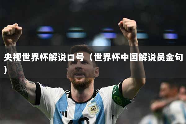 央视世界杯解说口号（世界杯中国解说员金句）