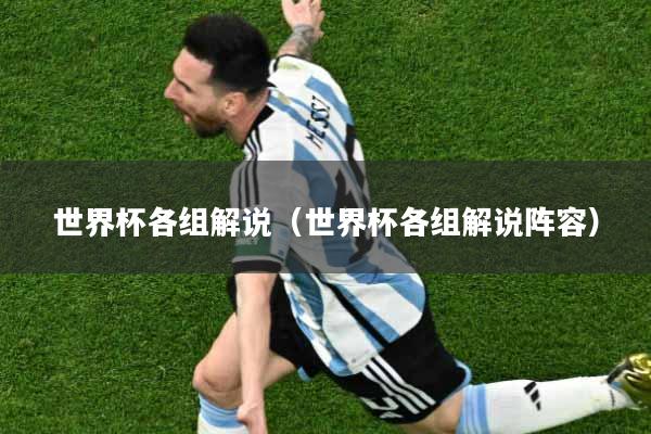世界杯各组解说（世界杯各组解说阵容）