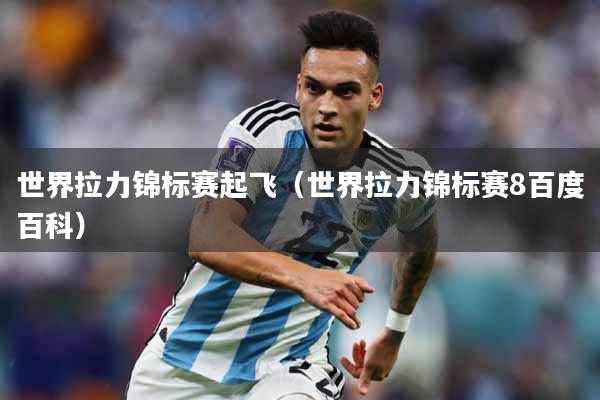 世界拉力锦标赛起飞（世界拉力锦标赛8百度百科）