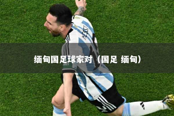 缅甸国足球家对（国足 缅甸）