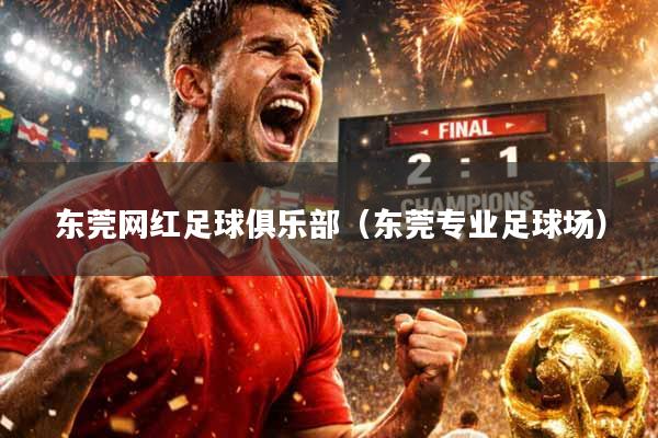 东莞网红足球俱乐部（东莞专业足球场）