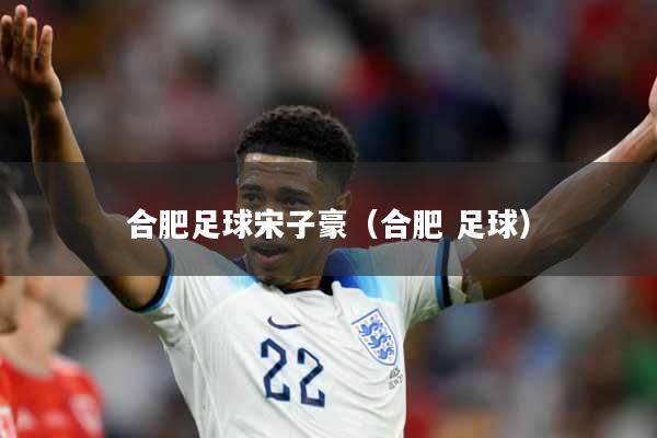 合肥足球宋子豪（合肥 足球）