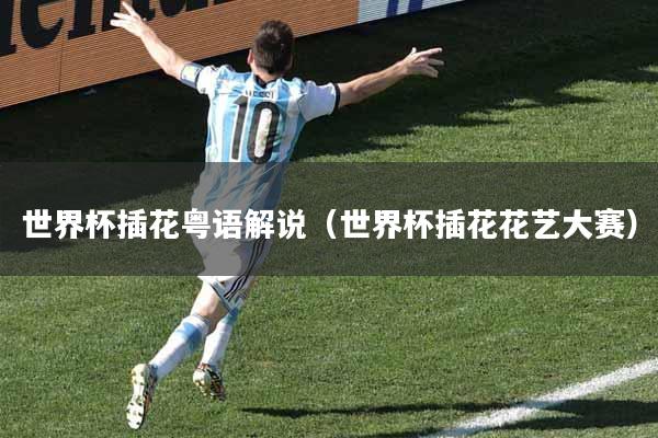 世界杯插花粤语解说（世界杯插花花艺大赛）