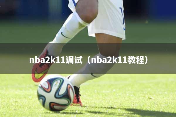 nba2k11调试（nba2k11教程）